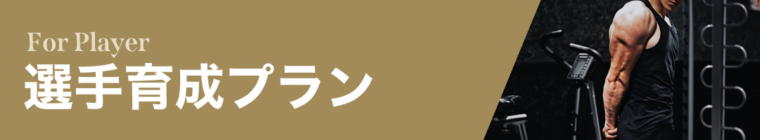 選手育成プラン